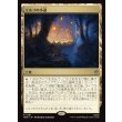 画像1: エルフの小道/Elven Passage (1)