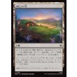画像1: ホビット穴/Hobbit Hole (1)