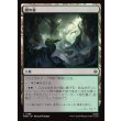画像1: 闇の森/Mirkwood (1)