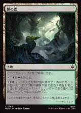 画像: 闇の森/Mirkwood