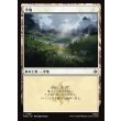 画像1: 平地/Plains (1)