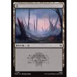 画像1: 沼/Swamp (1)