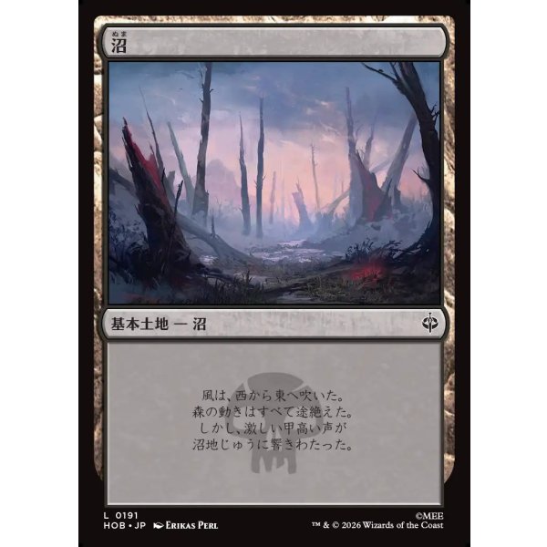 画像1: 沼/Swamp (1)