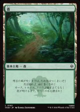 画像: 森/Forest