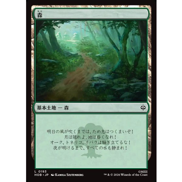 画像1: 森/Forest (1)