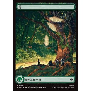 画像: 森/Forest