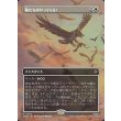 画像1: 鷲たちがやってくる！/The Eagles Are Coming! (1)
