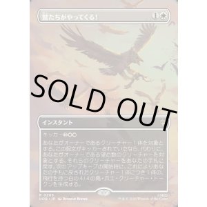 画像: 鷲たちがやってくる!/The Eagles Are Coming!