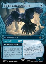画像: この上なくよぼよぼな年より鳥/Most Decrepit Old Bird
