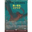 画像1: 悪い長虫、スマウグ/Smaug, Wicked Worm (1)