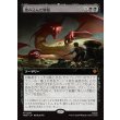 画像1: 踏み込んだ情報/Inside Information (1)