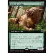 画像1: 宝石で飾った魔狼/Bejeweled Warg (1)