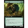 画像1: 巨怪の大熊/Gigantic Big Bear (1)