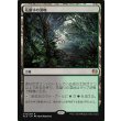 画像1: 花盛りの湿地/Blooming Marsh (1)