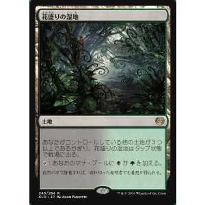 画像: 花盛りの湿地/Blooming Marsh