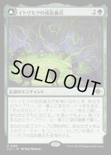 画像: イトリモクの成長儀式/Growing Rites of Itlimoc
