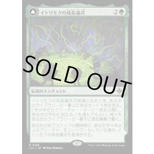 画像: イトリモクの成長儀式/Growing Rites of Itlimoc