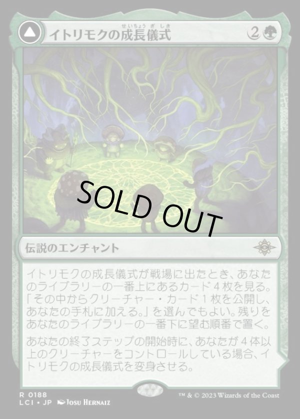 画像1: イトリモクの成長儀式/Growing Rites of Itlimoc (1)