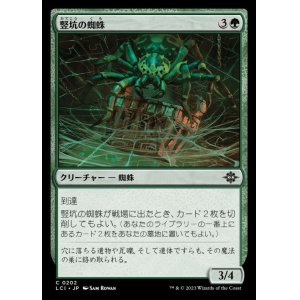 画像: 竪坑の蜘蛛/Mineshaft Spider