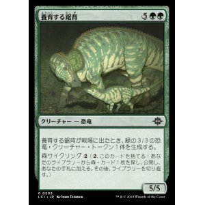 画像: 養育する鋸背/Nurturing Bristleback
