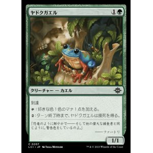 画像: ヤドクガエル/Poison Dart Frog