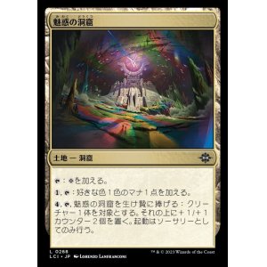 画像: 魅惑の洞窟/Captivating Cave
