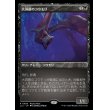 画像1: 大洞窟のコウモリ/Deep-Cavern Bat (1)