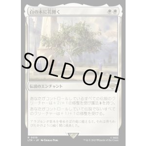 画像: 《白の木に花開く/Flowering of the White Tree(0015)》【JPN】[LTR白R]