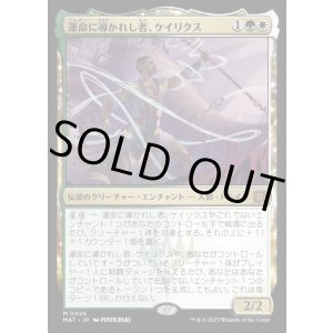画像: 運命に導かれし者、ケイリクス/Calix, Guided by Fate