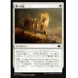 画像1: 儚い存在/Ephemerate (1)