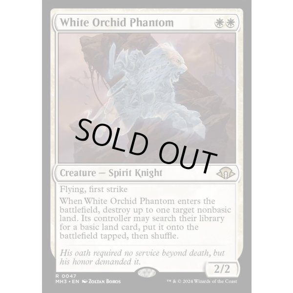 画像2: 白蘭の幻影/White Orchid Phantom (2)