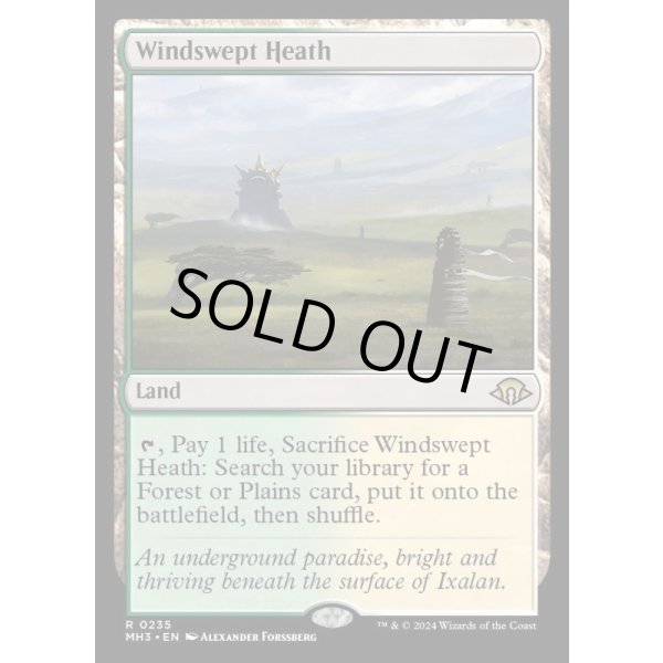 画像2: 吹きさらしの荒野/Windswept Heath (2)
