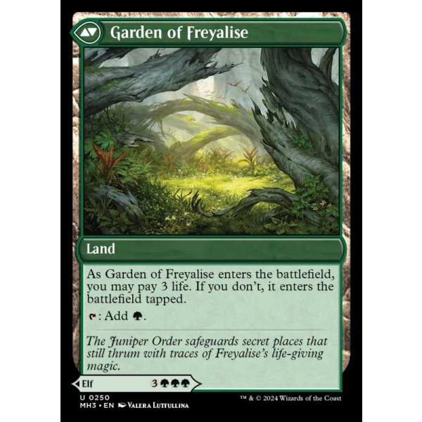 画像4: フレイアリーズの信奉者/Disciple of Freyalise (4)