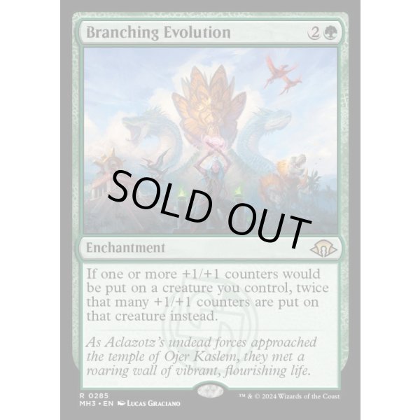 画像2: 枝分かれの進化/Branching Evolution (2)