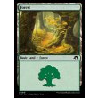 画像2: 森/Forest (2)