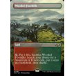 画像2: 樹木茂る山麓/Wooded Foothills (2)
