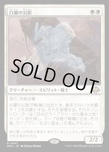 画像: 白蘭の幻影/White Orchid Phantom