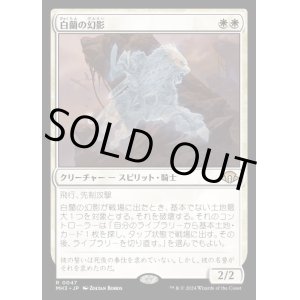 画像: 白蘭の幻影/White Orchid Phantom