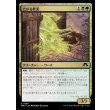 画像1: 広がる軟泥/Expanding Ooze (1)