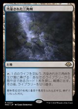 画像: 汚染された三角州/Polluted Delta