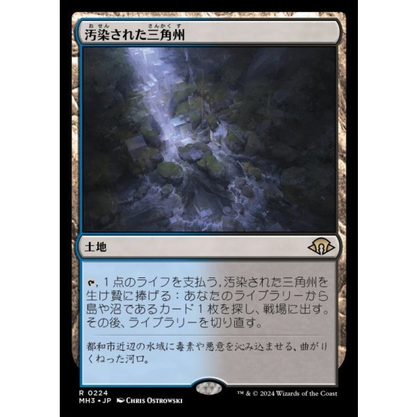 画像1: 汚染された三角州/Polluted Delta (1)