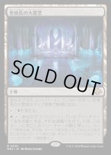 画像: 密偵長の大霊堂/Spymaster's Vault
