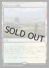 画像: 吹きさらしの荒野/Windswept Heath