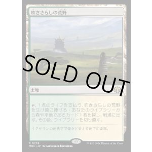 画像: 吹きさらしの荒野/Windswept Heath