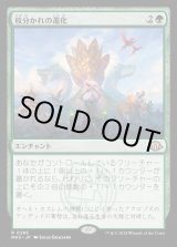 画像: 枝分かれの進化/Branching Evolution