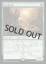 画像: 森を護る者/Sylvan Safekeeper
