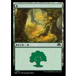 画像1: 森/Forest (1)