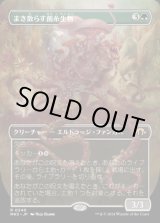 画像: まき散らす菌糸生物/Sowing Mycospawn