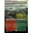 画像1: 樹木茂る山麓/Wooded Foothills (1)