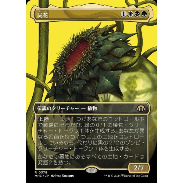 画像1: 屍花/The Necrobloom (1)